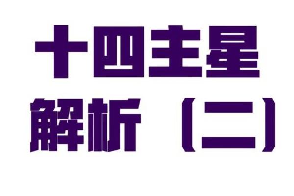 紫薇星盘什么意思
