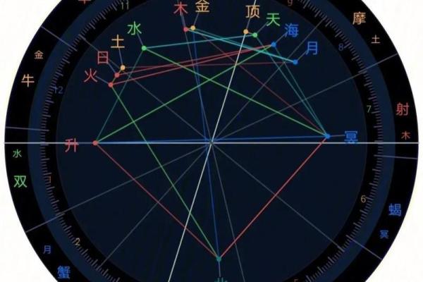紫薇星盘什么意思