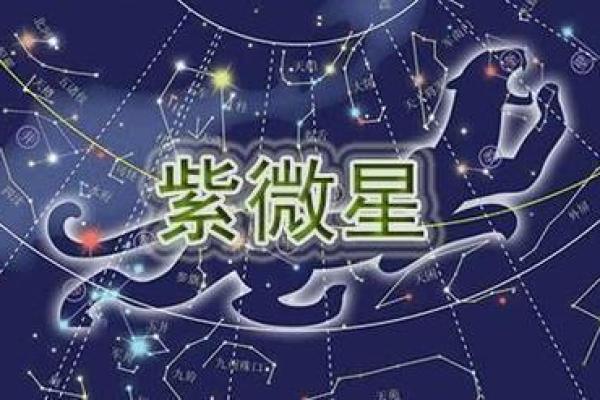紫薇斗数书店有吗