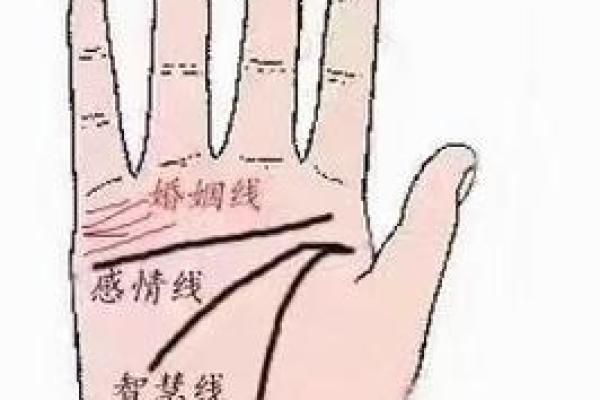 看手相算命：第二课 婚姻感情
