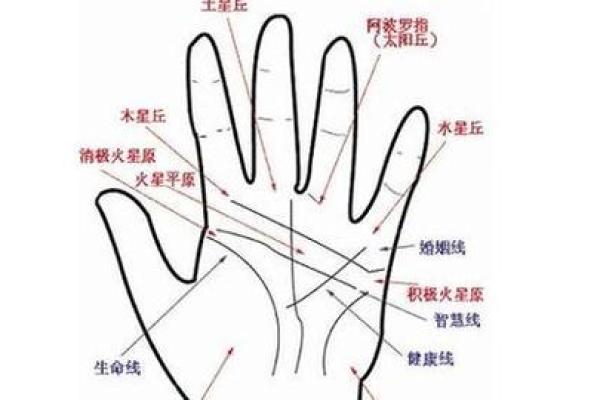 手相指纹算命图解
