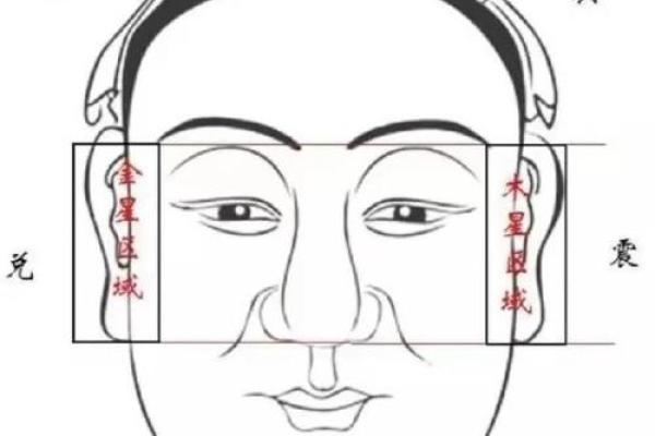 面相算命图解十二宫之：田宅宫