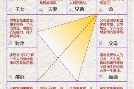 斗数紫薇阁