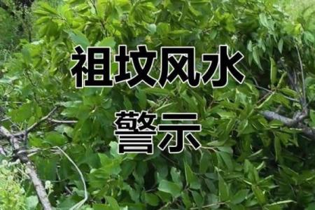 祖坟风水不好怎么化解