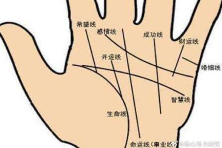 男人生命线图解，男人看手相生命线算命