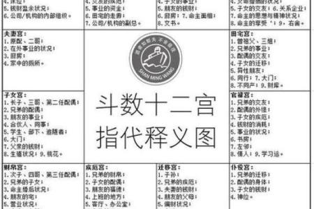 紫薇斗数看婚期案例
