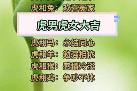 算命生肖婚配蛇配虎，蛇虎配对姻缘？