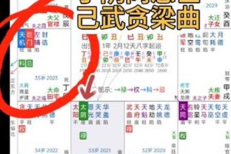紫薇斗数里忌代表什么