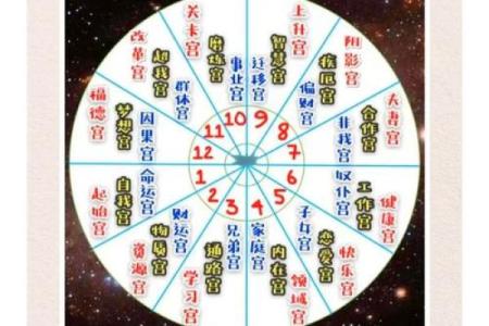 紫薇斗数里面流时