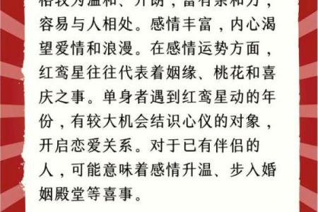 紫微斗数看会拥有美好婚姻的人