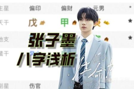 男明星八字