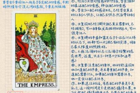 塔罗测试：你能否进入喜欢的大学
