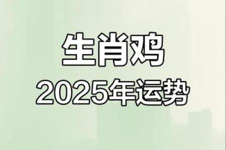 今年运势算命属鸡男