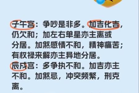 深度剖析紫微斗数巨门星在十二宫不同的影响力