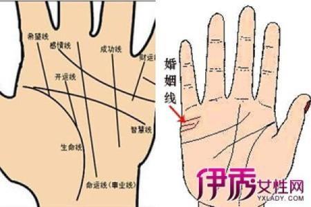 男人左手手纹算命图解婚姻线 感情线预示感情状况