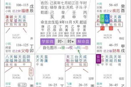 韩信紫薇斗数