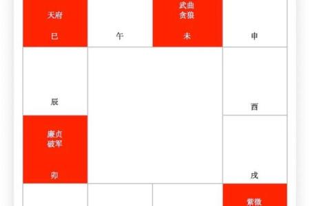 紫微斗数诸星落诸宫之，天府星：阳土疾厄宫详解