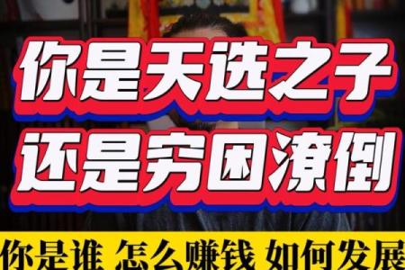 紫薇斗数股票赚钱
