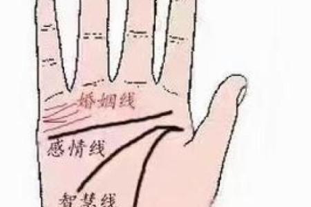 看手相算命：第二课 婚姻感情