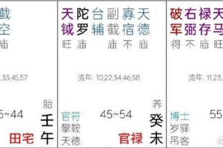 紫薇斗数华盖在官禄宫