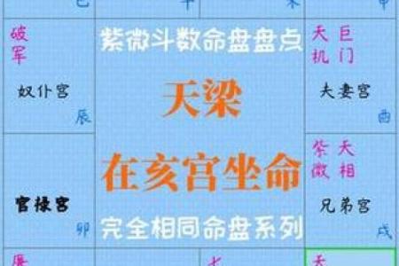 紫微斗数诸星落命宫之：天巫星详解