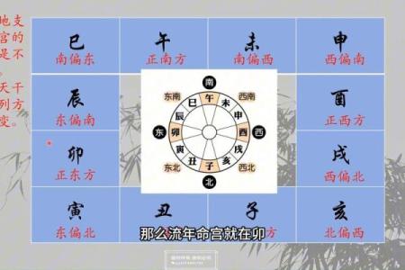 紫薇星数十二宫怎么排