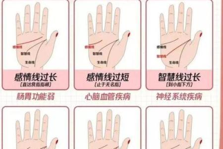 手相指纹算命图解
