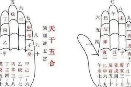 八字七杀与子女