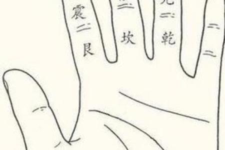 白鹤神数量指算命