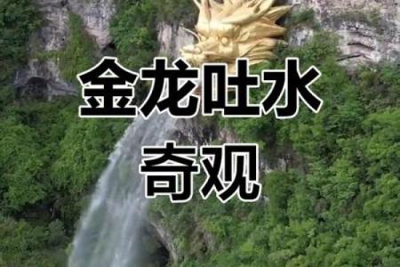 风水上龙吐水寓意是什么