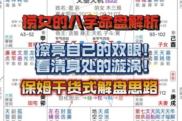 主星为命盘冠军！如何看待八字命盘的主星影响？