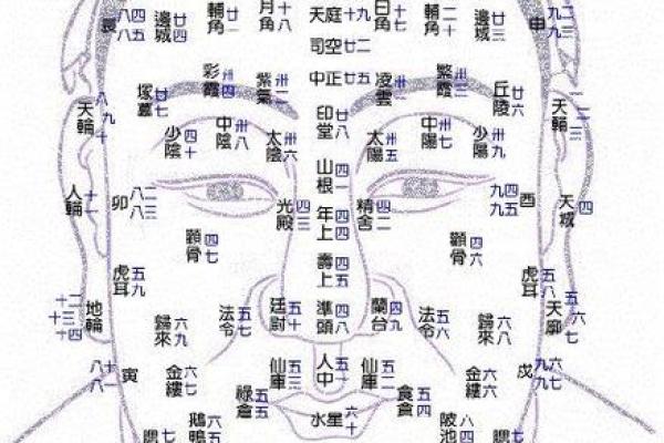头发算命,头发向前倒的人的面相分析