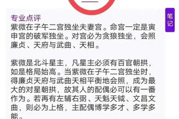 紫微斗数财运,紫微斗数财富分析