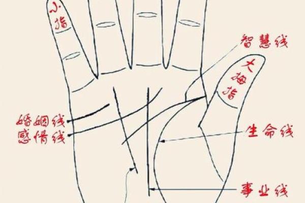 女人手相算命图解