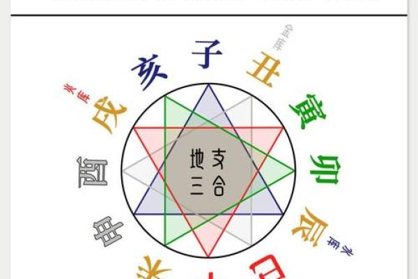 八字十二地支三合六合详细解说