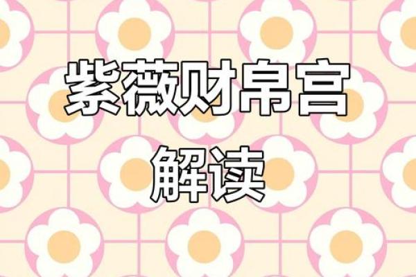 紫薇斗数财帛星