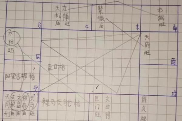 紫薇斗数富贵格