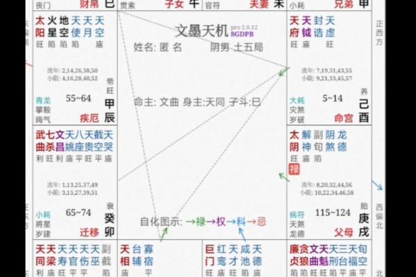 低调破解紫薇斗数