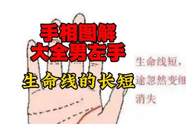 生命线算命：手掌上的玄机真能预测你的命运？