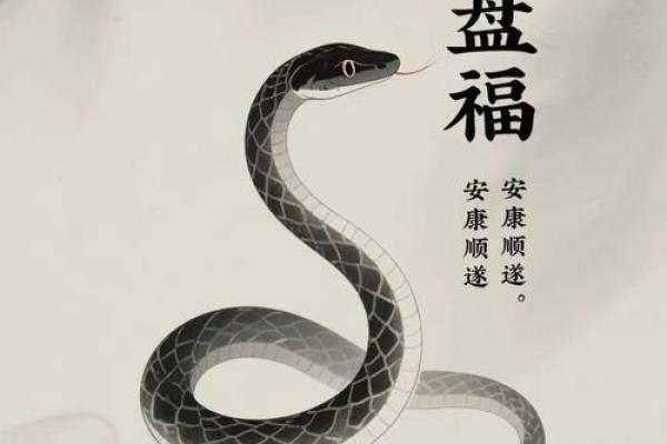 属蛇 人生命运测试