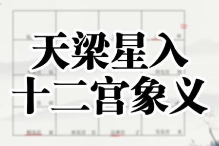 紫微斗数诸星落诸宫之：天梁星迁移宫详解