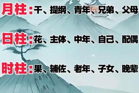 命理八字断事