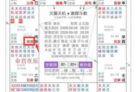 紫薇斗数命格