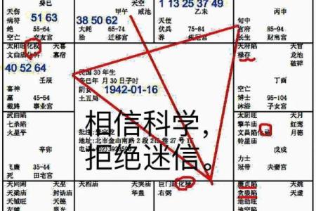 道传紫薇斗数