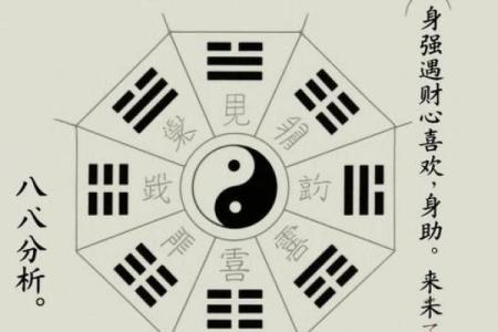 八字生肖运势查询