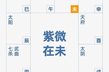 看紫薇斗数收费
