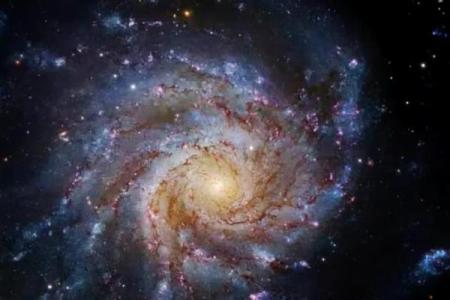 预言紫薇星