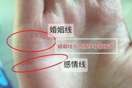 看相算命大全图解婚姻