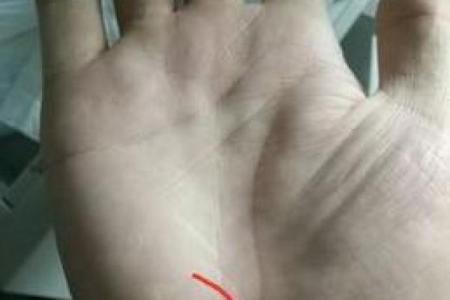 生命线算命：手掌上的玄机真能预测你的命运？