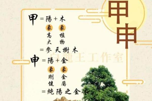 《甲木亥月性格解析及命运分析，详细揭秘八字特点》